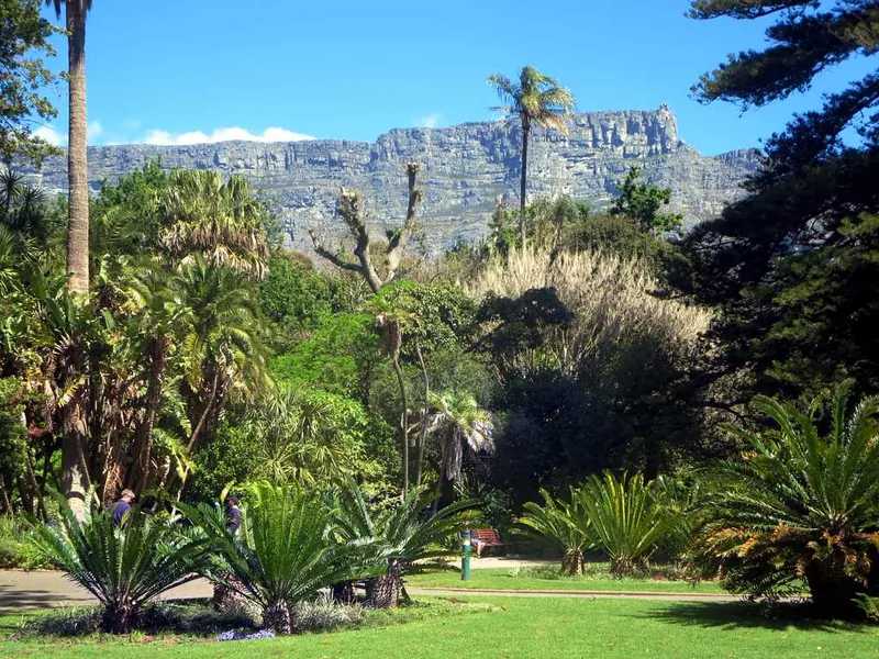 A boutique beachfront hotel lawn (representative image)